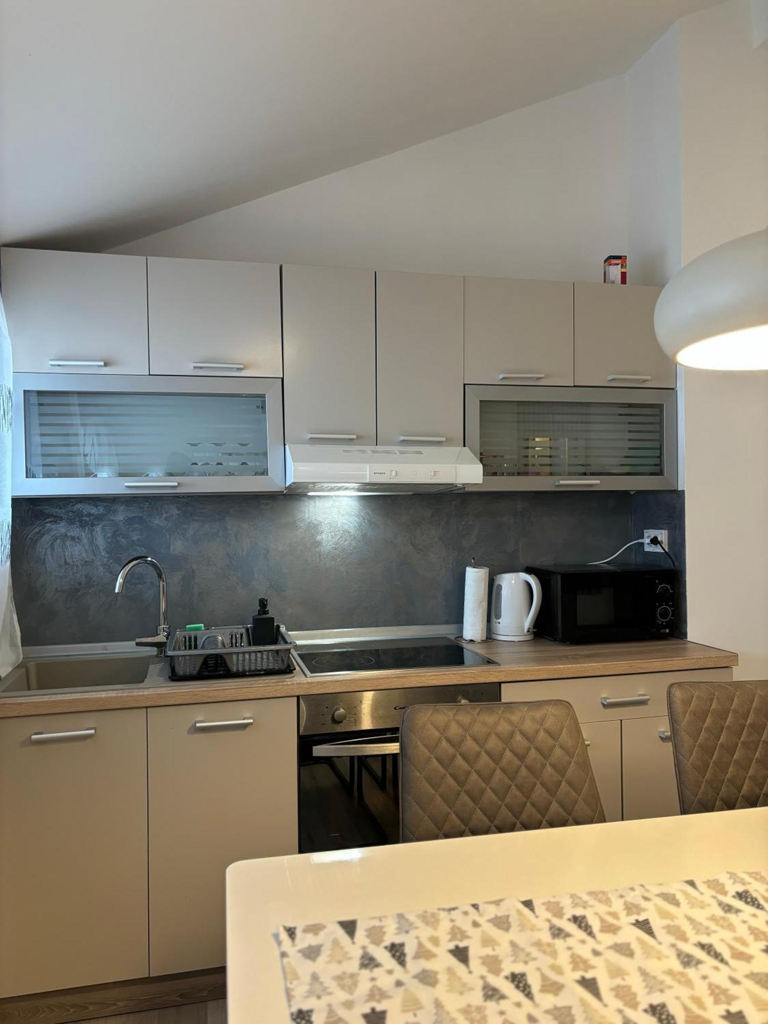 Albert Apartments Zagreb Airport 大戈里察 外观 照片